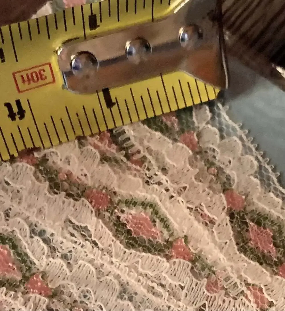 Vintage embroidered floral delicate Pink White Green lace Trim 4 yards lingerie